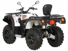 Фото Baltmotors ATV 500 EFI  №3